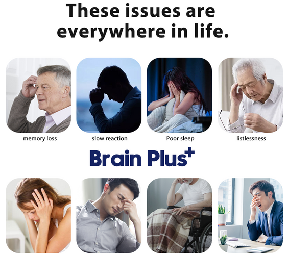 MaxHealthy-Brain Plus