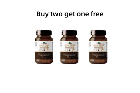 MaxHealthy-Joint Gold