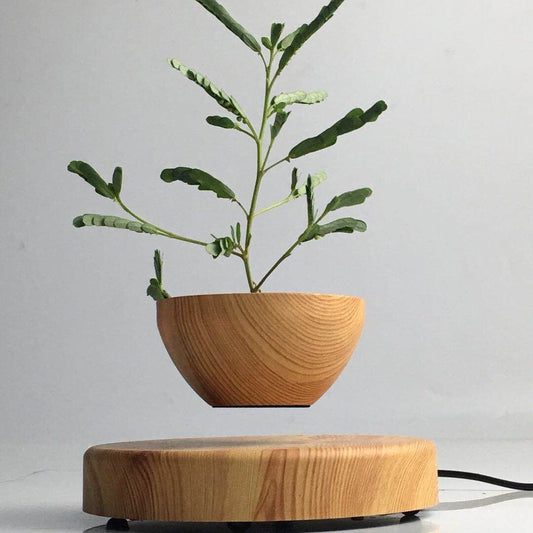 Magnetic levitation bonsai