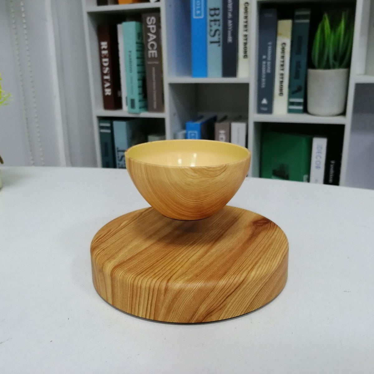 Magnetic levitation bonsai